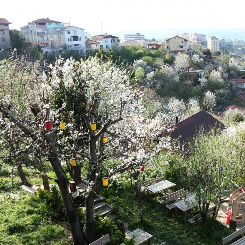 Karadeniz Mutfağının Eşsiz Yerel Lezzetleri - Muhlama